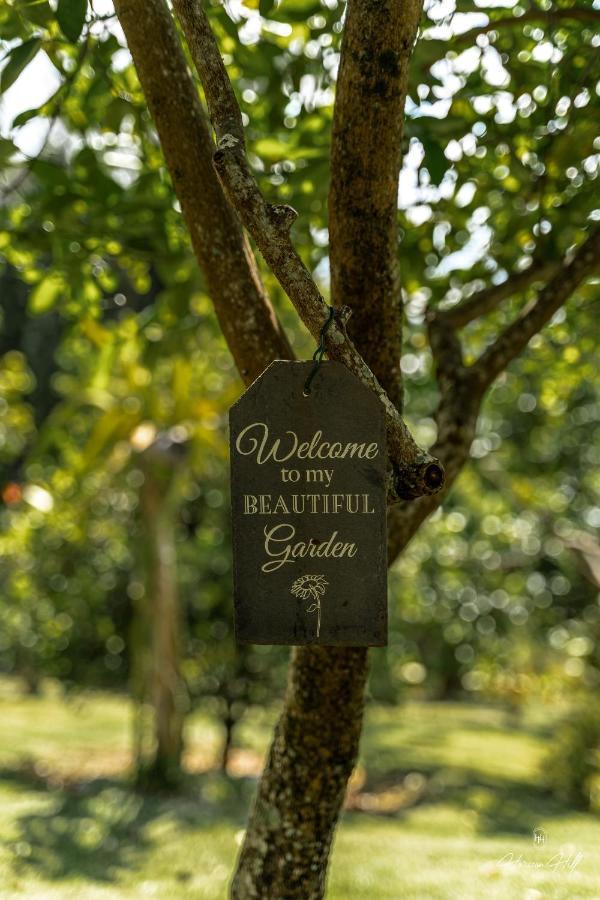 Horizon Hill Villa Pirae ภายนอก รูปภาพ